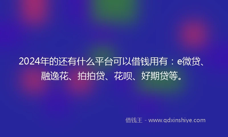 2024年的还有什么平台可以借钱用有：e微贷、融逸花、拍拍贷、花呗、好期贷等。