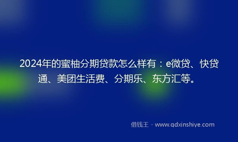 2024年的蜜柚分期贷款怎么样有：e微贷、快贷通、美团生活费、分期乐、东方汇等。