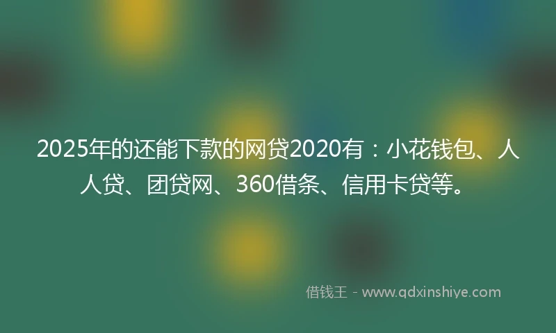 2025年的还能下款的网贷2020有：小花钱包、人人贷、团贷网、360借条、信用卡贷等。