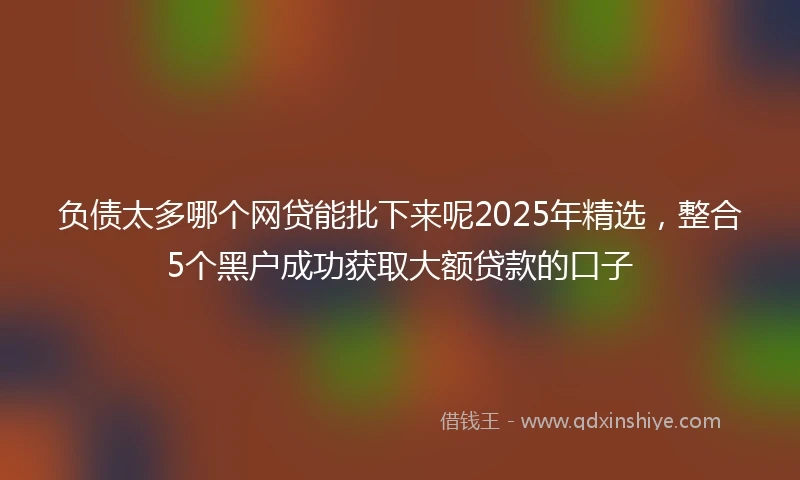 负债太多哪个网贷能批下来呢2025年精选，整合5个黑户成功获取大额贷款的口子
