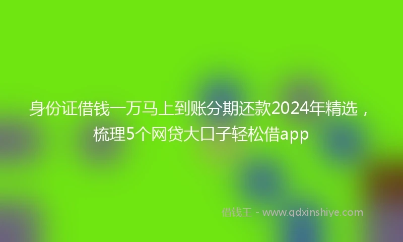 身份证借钱一万马上到账分期还款2024年精选，梳理5个网贷大口子轻松借app