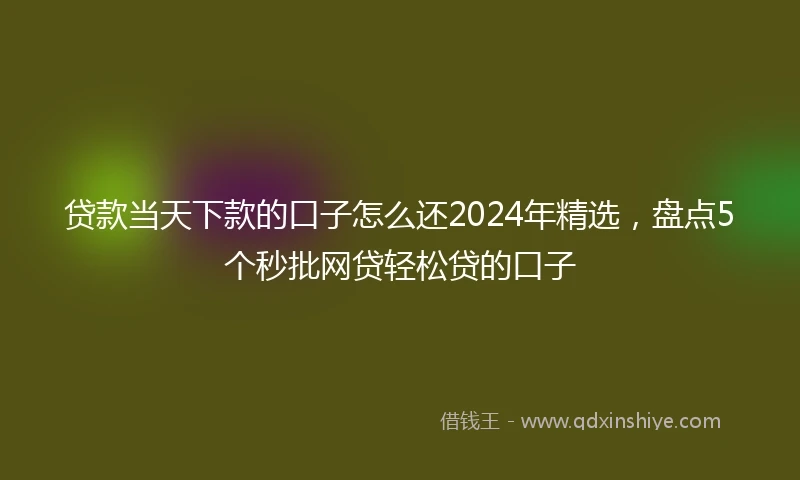 贷款当天下款的口子怎么还2024年精选，盘点5个秒批网贷轻松贷的口子