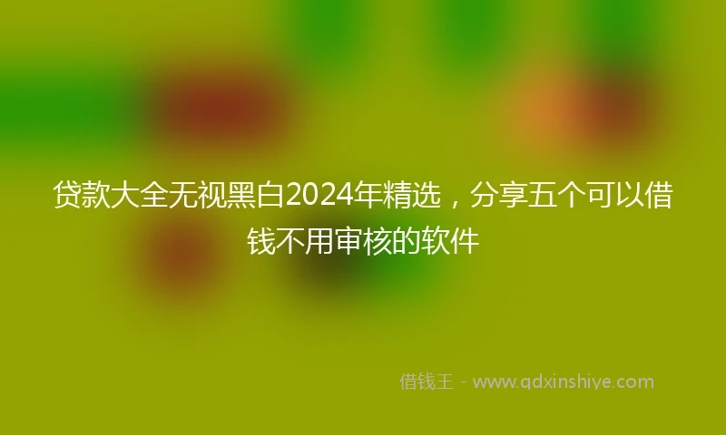 贷款大全无视黑白2024年精选,分享五个可以借钱不用审核的软件