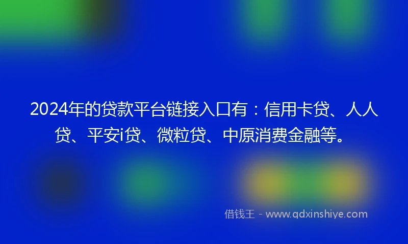 2024年的贷款平台链接入口有：信用卡贷、人人贷、平安i贷、微粒贷、中原消费金融等。