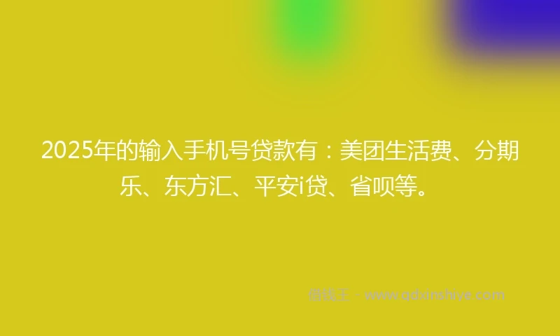 2025年的输入手机号贷款有：美团生活费、分期乐、东方汇、平安i贷、省呗等。