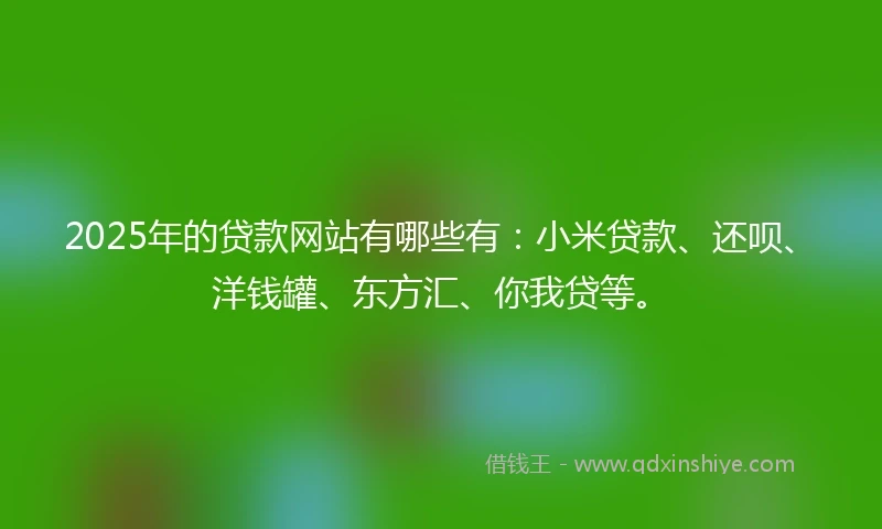 2025年的贷款网站有哪些有：小米贷款、还呗、洋钱罐、东方汇、你我贷等。