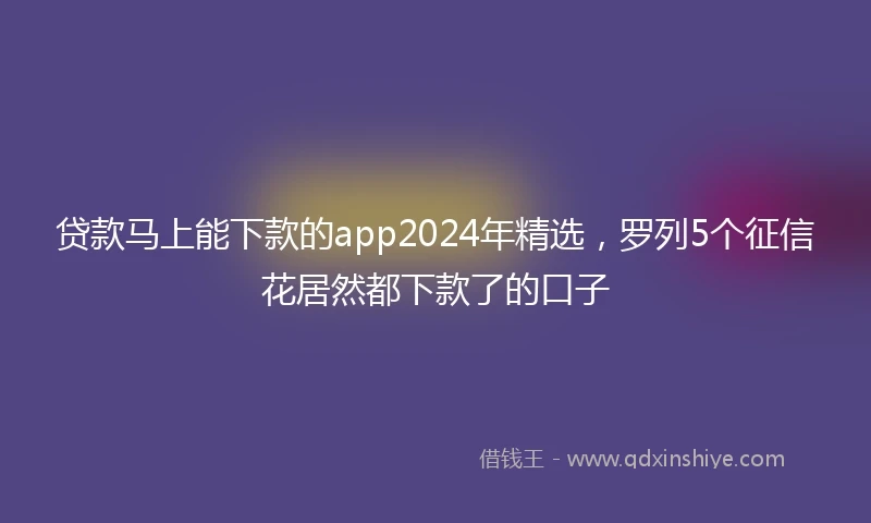 贷款马上能下款的app2024年精选，罗列5个征信花居然都下款了的口子