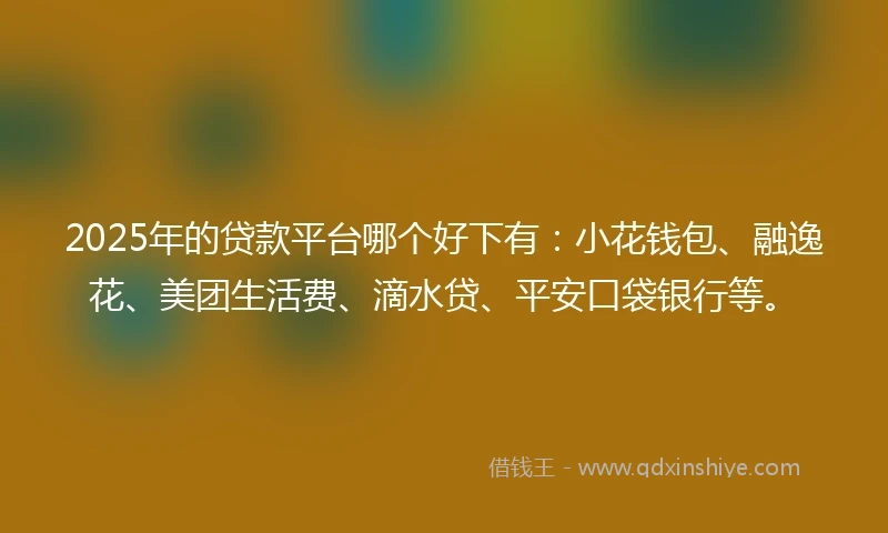 2025年的贷款平台哪个好下有：小花钱包、融逸花、美团生活费、滴水贷、平安口袋银行等。