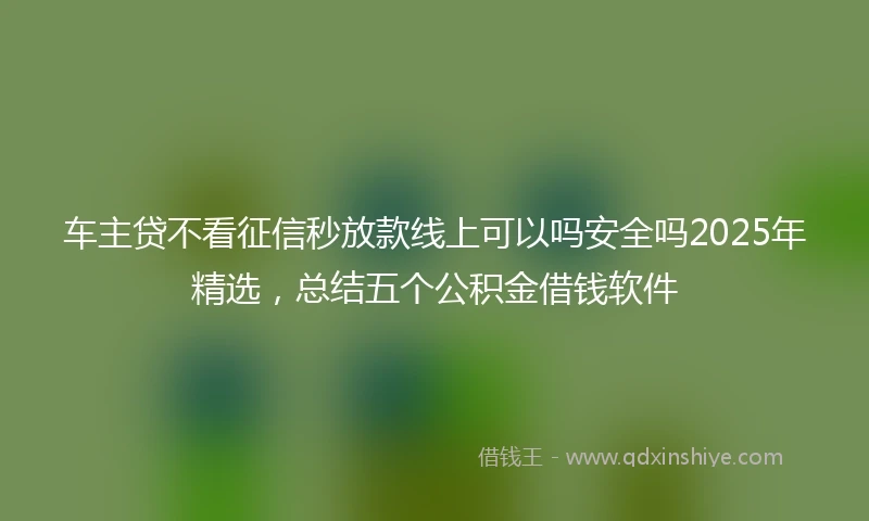 车主贷不看征信秒放款线上可以吗安全吗2025年精选，总结五个公积金借钱软件