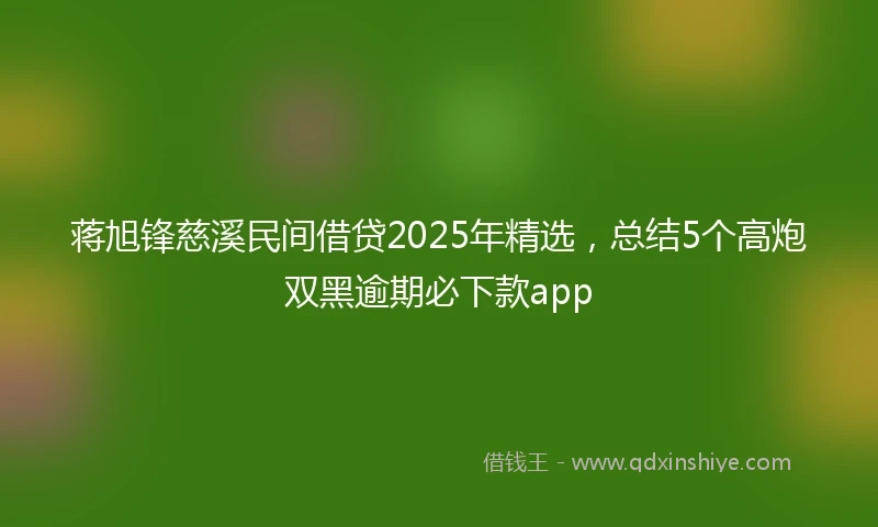 蒋旭锋慈溪民间借贷2025年精选，总结5个高炮双黑逾期必下款app