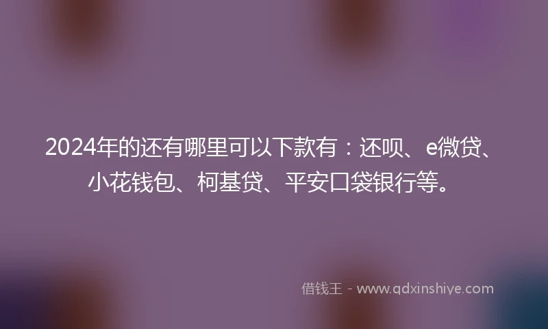 2024年的还有哪里可以下款有：还呗、e微贷、小花钱包、柯基贷、平安口袋银行等。