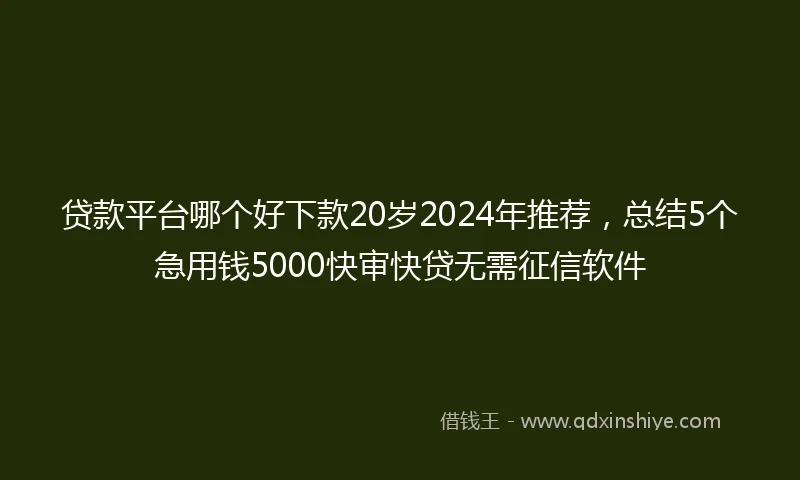 贷款平台哪个好下款20岁2024年推荐，总结5个急用钱5000快审快贷无需征信软件