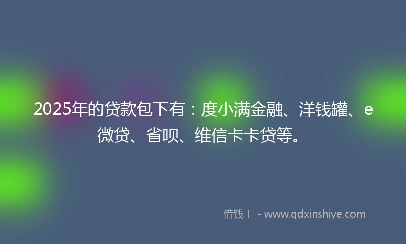 2025年的贷款包下有：度小满金融、洋钱罐、e微贷、省呗、维信卡卡贷等。