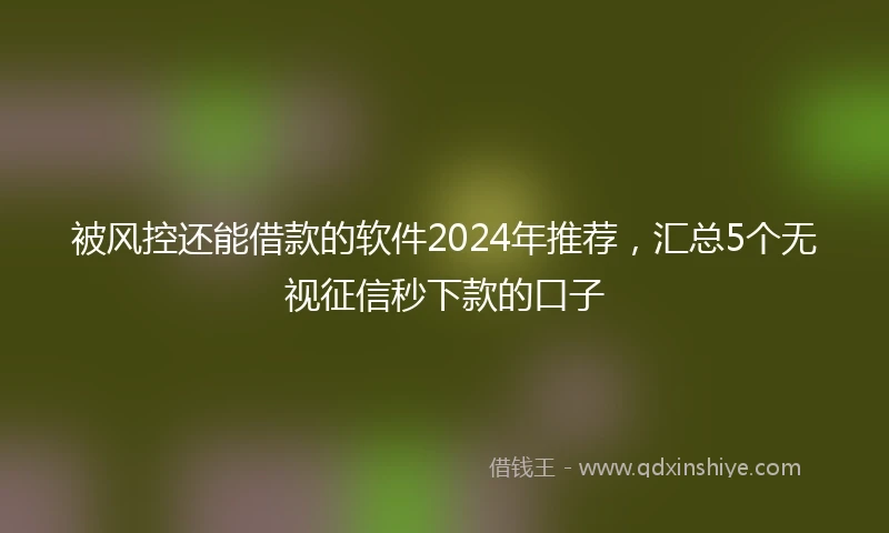 被风控还能借款的软件2024年推荐，汇总5个无视征信秒下款的口子