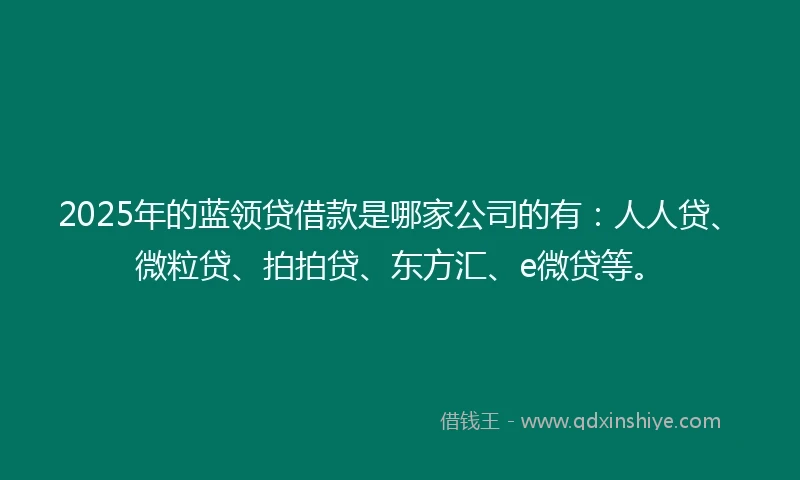 2025年的蓝领贷借款是哪家公司的有：人人贷、微粒贷、拍拍贷、东方汇、e微贷等。