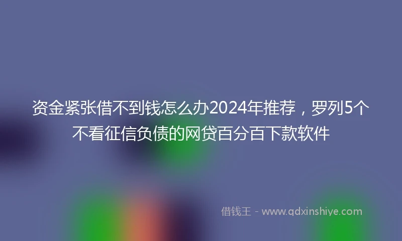 资金紧张借不到钱怎么办2024年推荐，罗列5个不看征信负债的网贷百分百下款软件