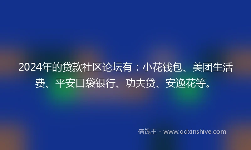 2024年的贷款社区论坛有：小花钱包、美团生活费、平安口袋银行、功夫贷、安逸花等。