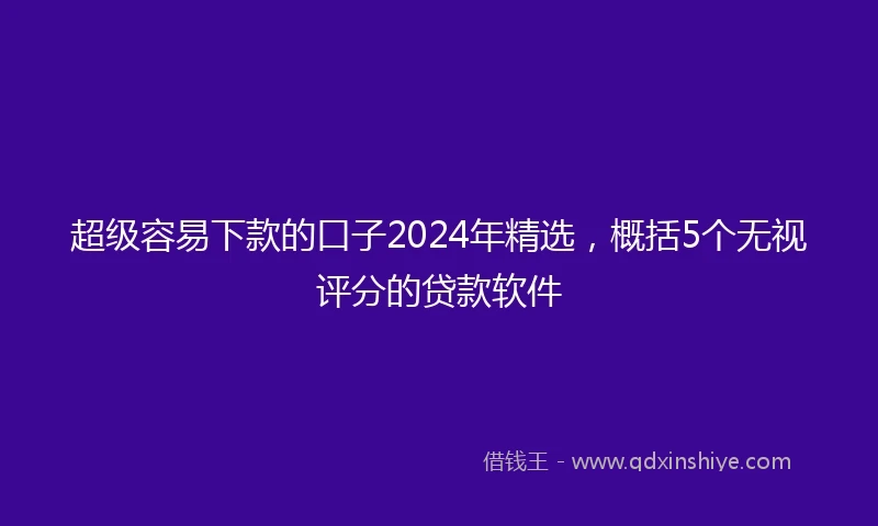 超级容易下款的口子2024年精选,概括5个无视评分的贷款软件