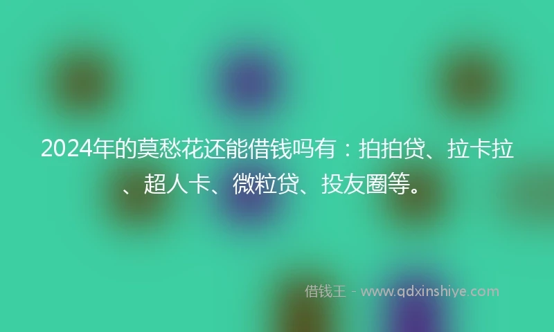 2024年的莫愁花还能借钱吗有：拍拍贷、拉卡拉、超人卡、微粒贷、投友圈等。