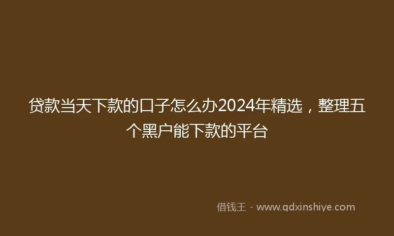 贷款当天下款的口子怎么办2024年精选，整理五个黑户能下款的平台