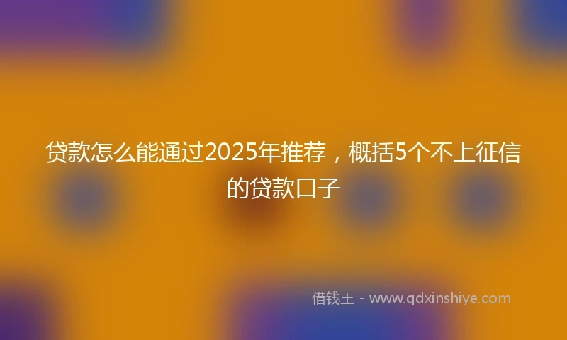 贷款怎么能通过2025年推荐，概括5个不上征信的贷款口子