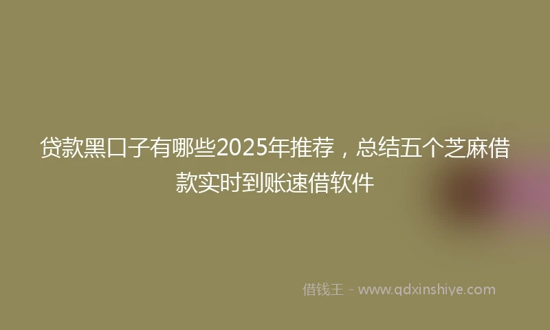 贷款黑口子有哪些2025年推荐，总结五个芝麻借款实时到账速借软件