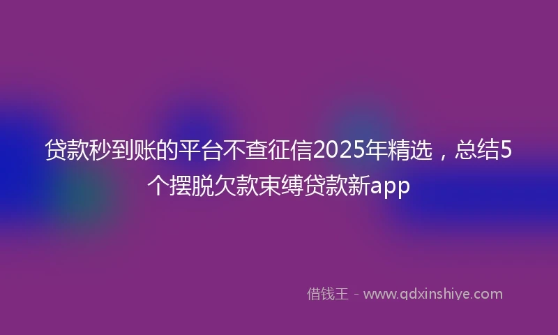 贷款秒到账的平台不查征信2025年精选，总结5个摆脱欠款束缚贷款新app