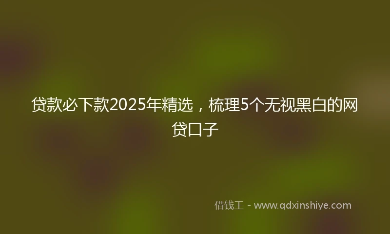 贷款必下款2025年精选，梳理5个无视黑白的网贷口子