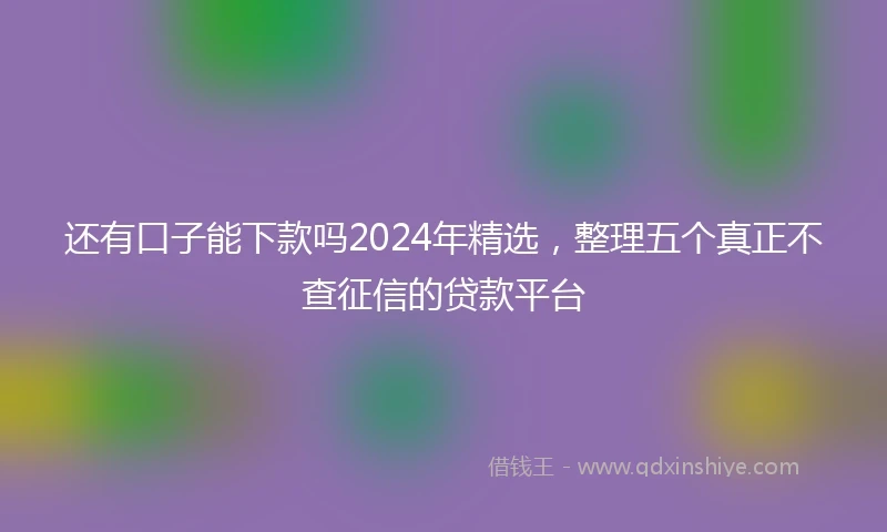 还有口子能下款吗2024年精选，整理五个真正不查征信的贷款平台