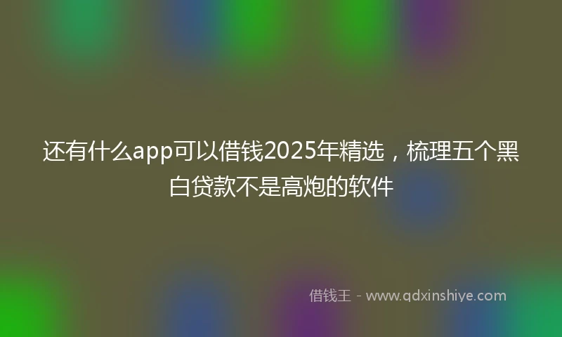 还有什么app可以借钱2025年精选，梳理五个黑白贷款不是高炮的软件