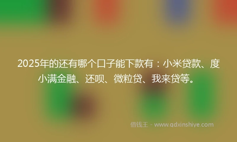 2025年的还有哪个口子能下款有：小米贷款、度小满金融、还呗、微粒贷、我来贷等。
