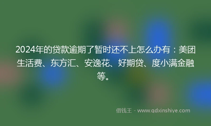 2024年的贷款逾期了暂时还不上怎么办有:美团生活费、东方汇、安逸花、好期贷、度小满金融等。