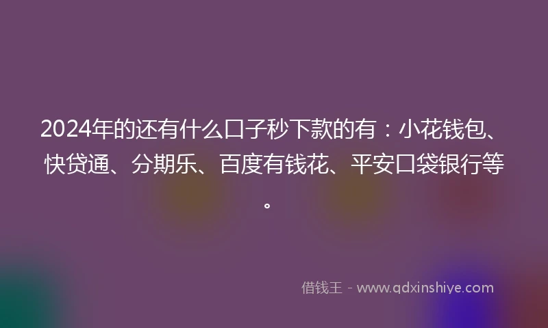 2024年的还有什么口子秒下款的有：小花钱包、快贷通、分期乐、百度有钱花、平安口袋银行等。