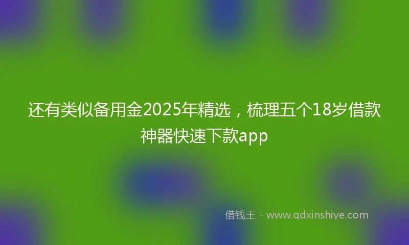 还有类似备用金2025年精选，梳理五个18岁借款神器快速下款app