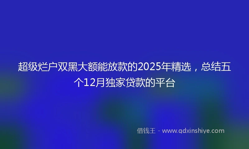 超级烂户双黑大额能放款的2025年精选,总结五个12月独家贷款的平台