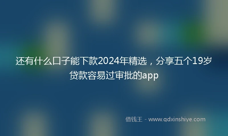 还有什么口子能下款2024年精选，分享五个19岁贷款容易过审批的app