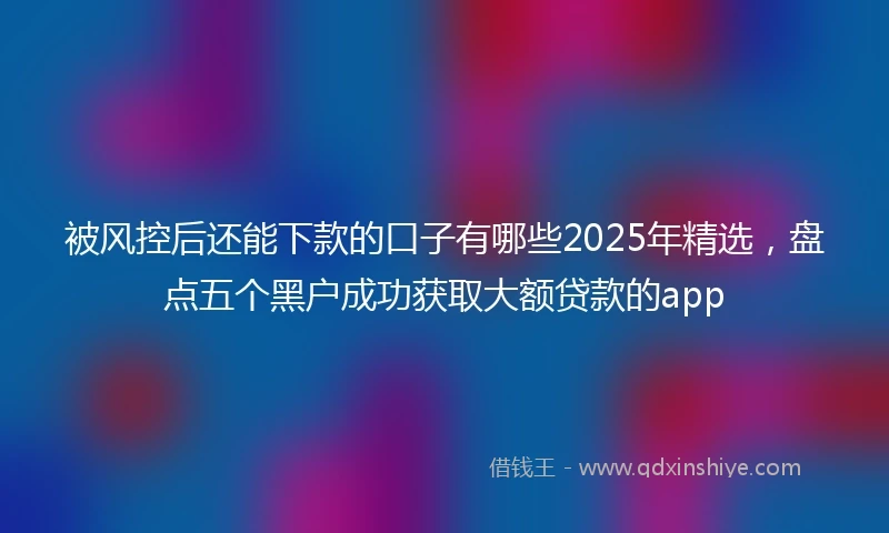 被风控后还能下款的口子有哪些2025年精选，盘点五个黑户成功获取大额贷款的app
