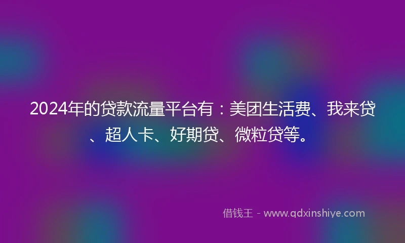 2024年的贷款流量平台有：美团生活费、我来贷、超人卡、好期贷、微粒贷等。
