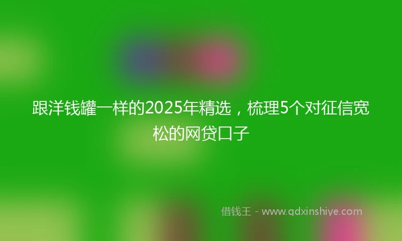 跟洋钱罐一样的2025年精选，梳理5个对征信宽松的网贷口子
