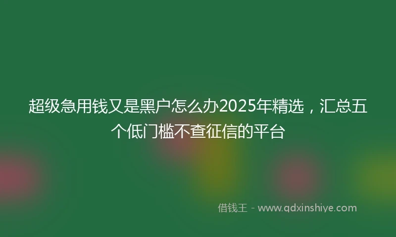 超级急用钱又是黑户怎么办2025年精选，汇总五个低门槛不查征信的平台