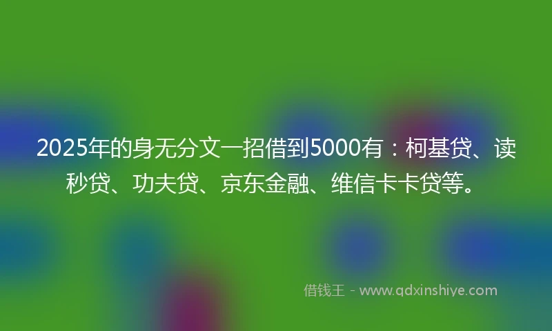 2025年的身无分文一招借到5000有：柯基贷、读秒贷、功夫贷、京东金融、维信卡卡贷等。