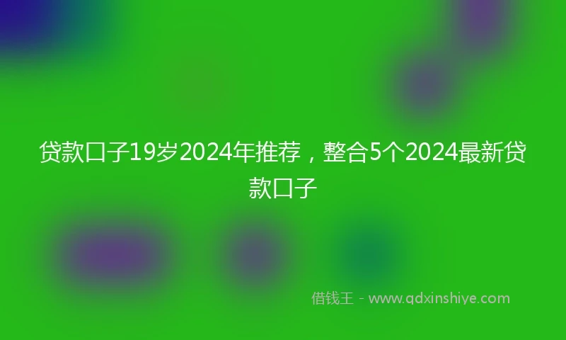 贷款口子19岁2024年推荐，整合5个2024最新贷款口子