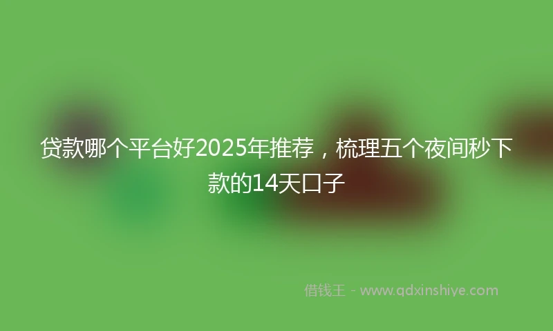 贷款哪个平台好2025年推荐，梳理五个夜间秒下款的14天口子