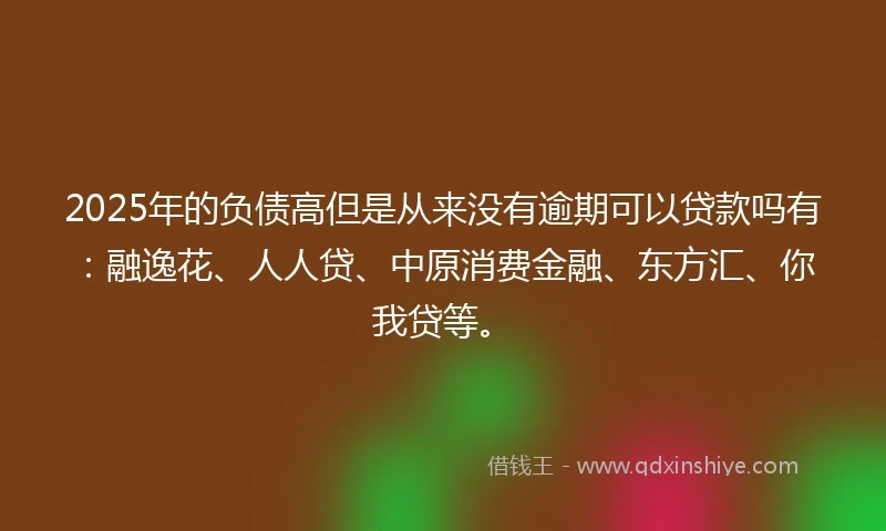 2025年的负债高但是从来没有逾期可以贷款吗有：融逸花、人人贷、中原消费金融、东方汇、你我贷等。