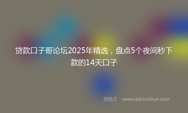 贷款口子哥论坛2025年精选，盘点5个夜间秒下款的14天口子