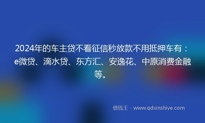 2024年的车主贷不看征信秒放款不用抵押车有：e微贷、滴水贷、东方汇、安逸花、中原消费金融等。