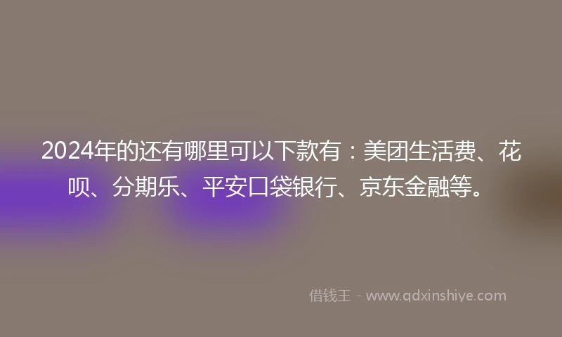 2024年的还有哪里可以下款有：美团生活费、花呗、分期乐、平安口袋银行、京东金融等。