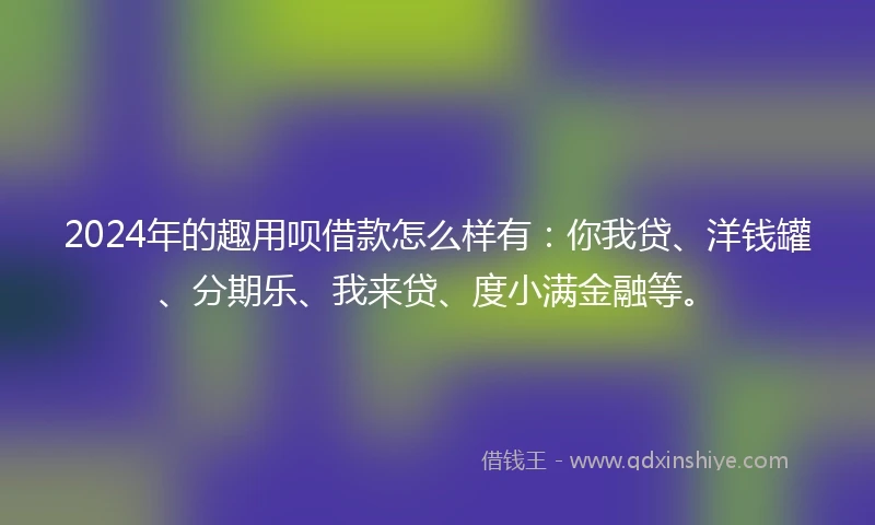 2024年的趣用呗借款怎么样有：你我贷、洋钱罐、分期乐、我来贷、度小满金融等。