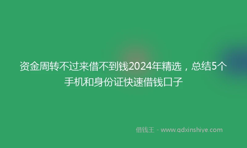 资金周转不过来借不到钱2024年精选，总结5个手机和身份证快速借钱口子