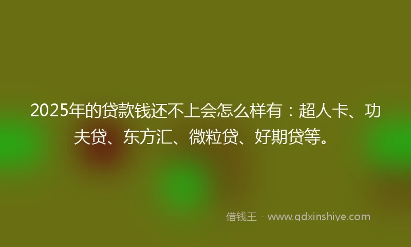 2025年的贷款钱还不上会怎么样有：超人卡、功夫贷、东方汇、微粒贷、好期贷等。